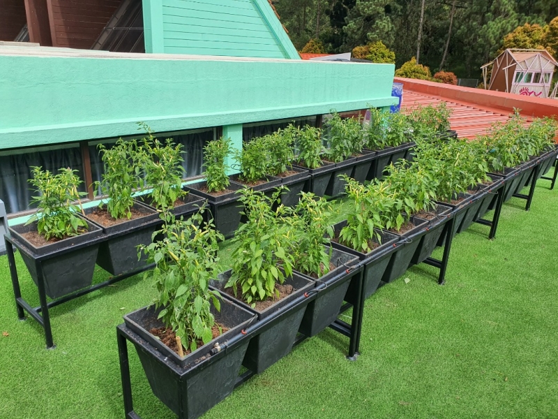 Spice Garden Yuen Keong Construction & Renovation Sdn Bhd